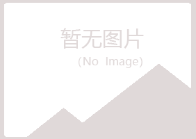 海丰县夏岚保险有限公司